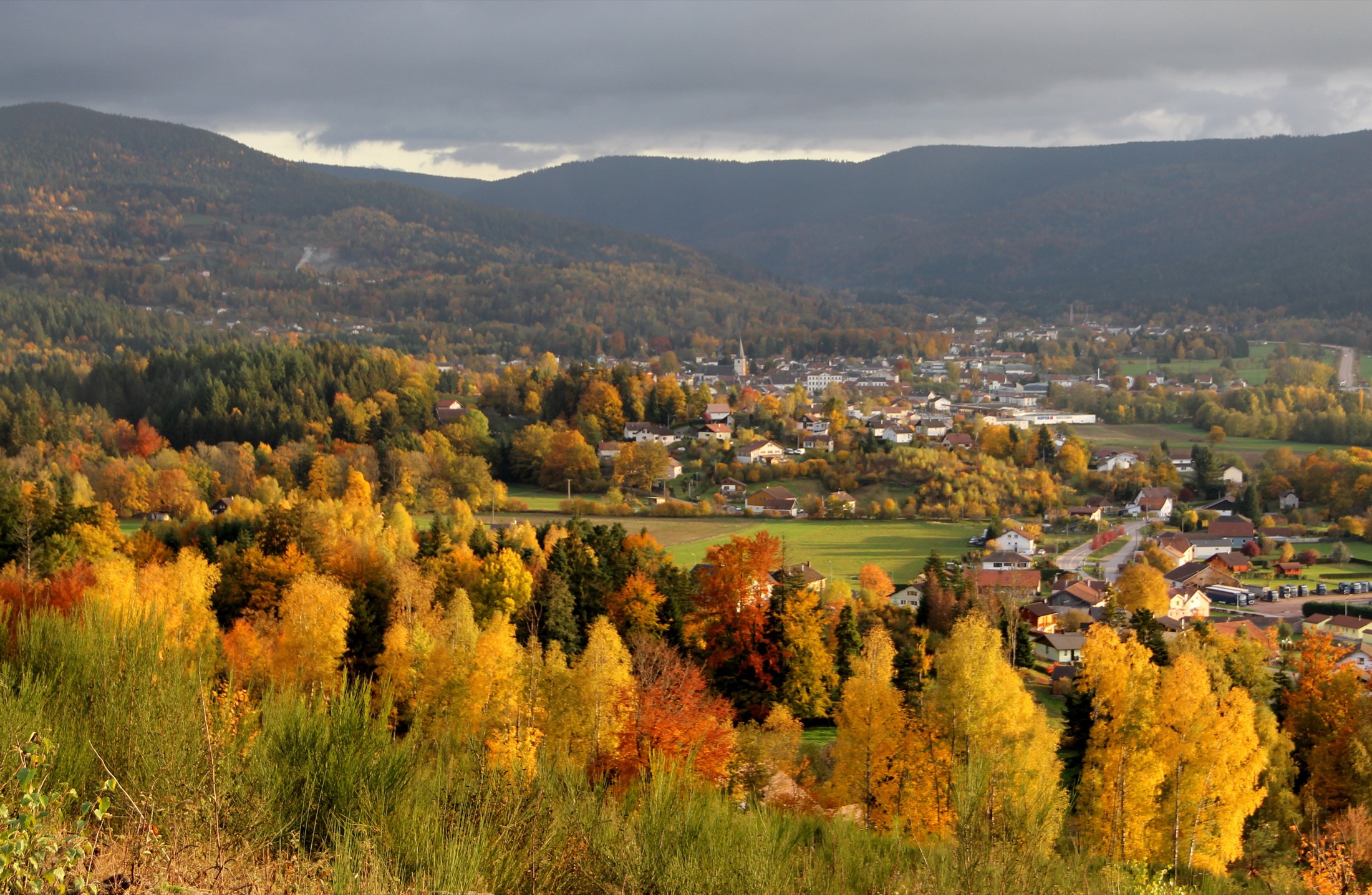 Le domaine de Reménipaire dans les Hautes-Vosges